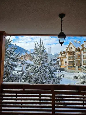 a view of a snow covered tree from a window at Zweizimmerwohnung mit Bergblick in Bansko
