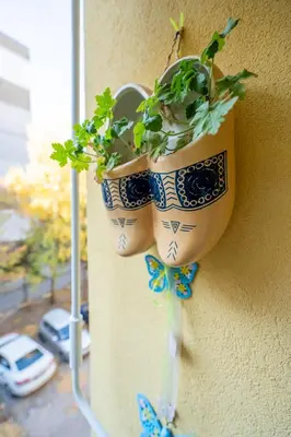 a potted plant is hanging on a wall at Lotus apartments with free parking in Sofia