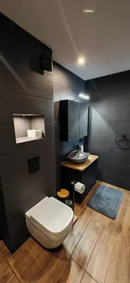 a bathroom with a toilet and a sink at Rhodopski Apartment in Chepelare