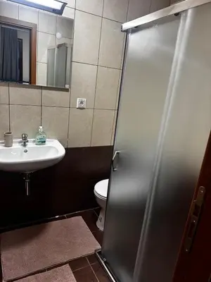 a bathroom with a shower and a sink and a toilet at JMN Pamporovo in Pamporovo