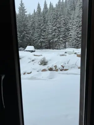 a group of elk in the snow at JMN Pamporovo in Pamporovo