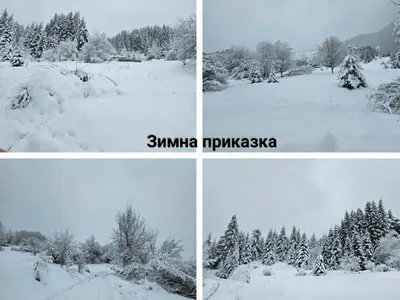 four pictures of a snow covered field with trees at Къща за гости МЕЧА СТЪПКА in Gela