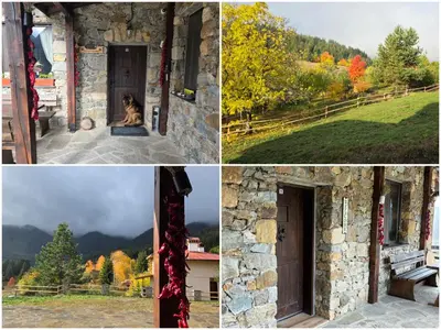 a collage of photos with a dog sitting outside a building at Къща за гости МЕЧА СТЪПКА in Gela
