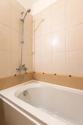 a bath tub with a shower in a bathroom at Silver Ridge Studio by SI Stay in Razlog