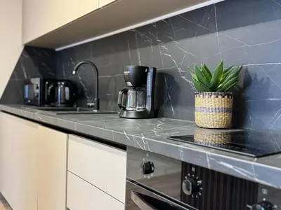 a kitchen counter with a potted plant on it at Modern & Spacious Two-Bedroom Apartment in Plovdiv