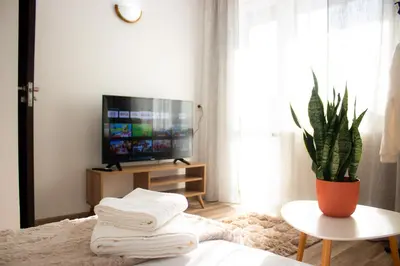 a living room with a television and a potted plant at Serenity Apartment Bansko in Bansko