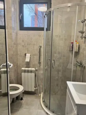 a bathroom with a shower and a toilet at Sirius Apartment in Sofia