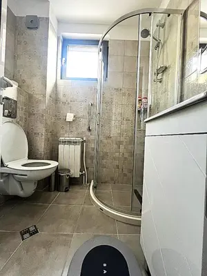 a bathroom with a shower and a toilet at Sirius Apartment in Sofia