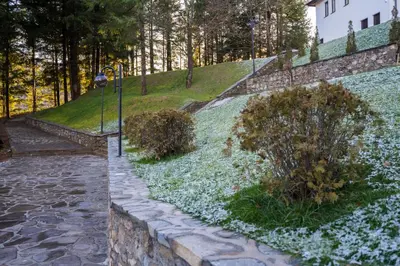 a garden with white flowers on the side of a hill at Хотелски комплекс Релакс in Rudozem
