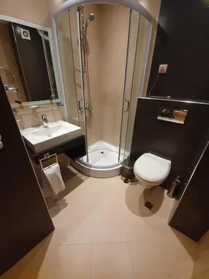 a bathroom with a shower and a toilet and a sink at Bansko lodge 500m from ski lift in Bansko
