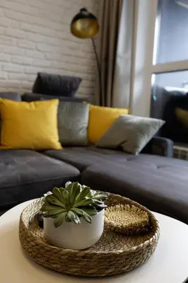 a living room with a couch and a table with a plant at The View Sofia in Sofia