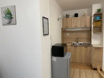 a small kitchen with a sink and a refrigerator at Castle Inn Pamporovo in Pamporovo