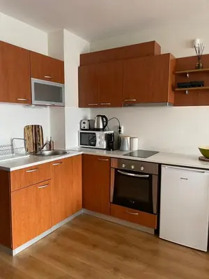 a kitchen with wooden cabinets and a stove and microwave at The New Inn in Bansko