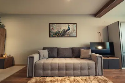 a living room with a couch and a tv at Mirror Lake Studio in Samokov