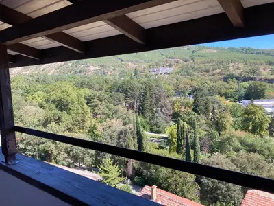 a view of a forest from a house window at Apartment Park View in Sandanski