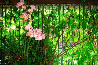 a metal fence with pink flowers on it at Tatyana City garden in Plovdiv