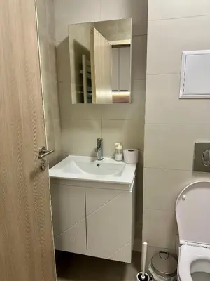 a bathroom with a sink and a mirror and a toilet at Music Flats in Sofia