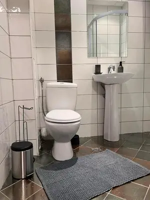 a bathroom with a toilet and a sink at Millennium apartment in Bansko