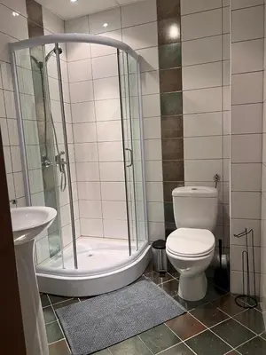a bathroom with a shower and a toilet and a sink at Millennium apartment in Bansko