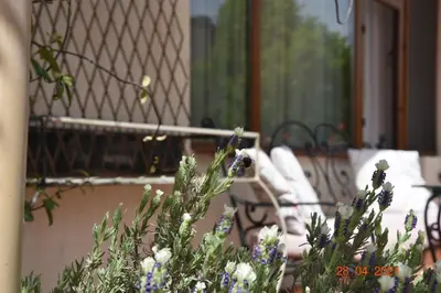 a bench sitting on a balcony with flowers at Princess Apartment in Sandanski