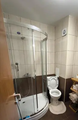 a bathroom with a shower and a toilet at NiSimo Apartment Grand Resort Pamporovo in Pamporovo