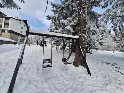 a swing hanging from a tree in the snow at Rila Park by the Slopes in Borovets