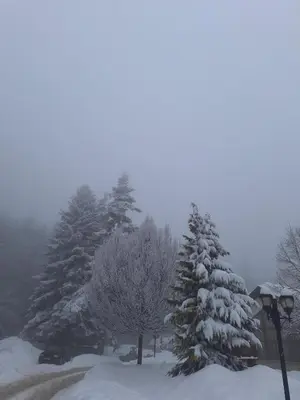 a group of snow covered trees and a street light at Rila Park by the Slopes in Borovets