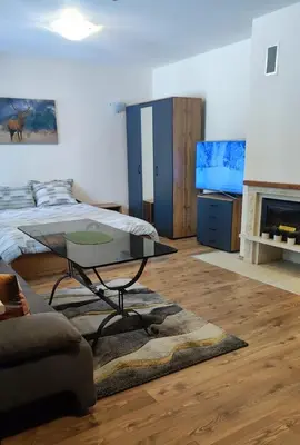 a living room with a bed and a tv at Grand Studio A1 in Pamporovo