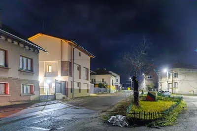 a dog laying on the ground in a street at night at Mountain studio Govedartsi in Govedartsi
