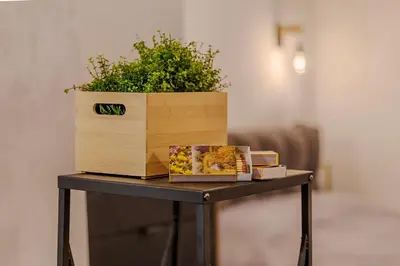 a table with a plant and a box on it at Mountain studio Govedartsi in Govedartsi