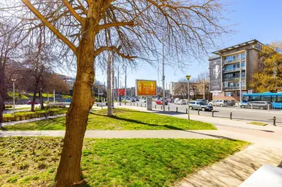 a tree sitting in a park next to a sidewalk at HeBrOs Park Apartment Next to Kapana 2BR in Plovdiv