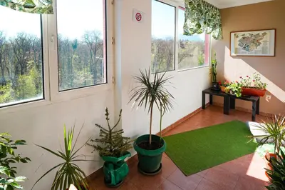 a hallway with potted plants and windows in a house at 2BDR Yavorov apartment in Sofia