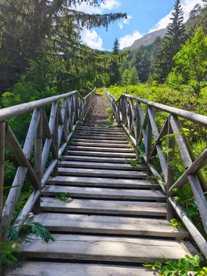 a wooden bridge over a field with trees at Studio DeLuxe King with mountain view and spa rilski in Bansko