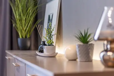 a counter with potted plants and a candle on it at Grand Suborna Retreat in Sofia