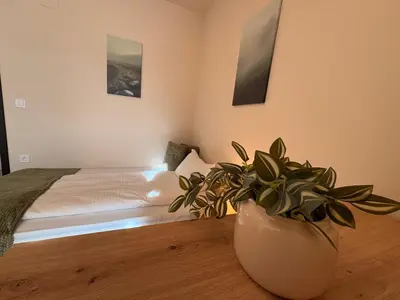 a bedroom with a bed and a potted plant at Apart-Tundzha 6 in Sofia
