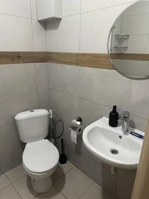 a bathroom with a toilet and a sink at The Last Dollar in Sofia