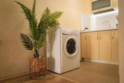 a washing machine in a kitchen with a plant at Azuri in Sandanski