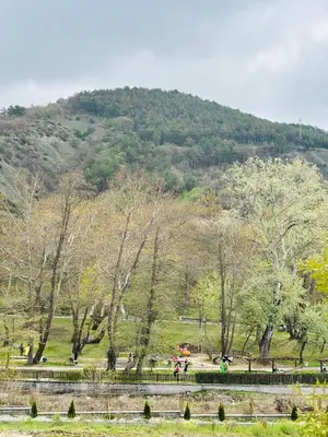 a park with trees and a hill in the background at Luxury Park Villa in Sandanski