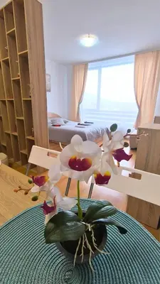 a room with a table with flowers on it at Cozy SPA Retreat with free Bottle of Wine in Aspen Golf in Razlog