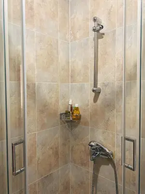 a shower with a glass door and a shower facet at Gardenia Apartment Pamporovo in Pamporovo