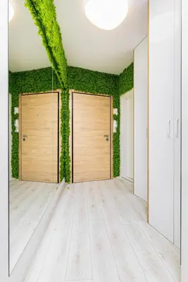 an empty room with two doors with ivy on the walls at City Park flat near to Medical University in Plovdiv