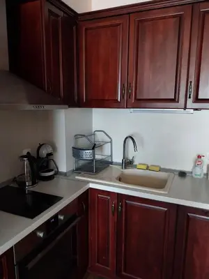 a kitchen with wooden cabinets and a sink at Vitosha Apartment in Sofia