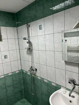 a bathroom with a shower and a sink at Trigrad hills in Trigrad