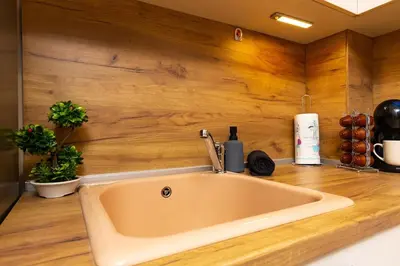 a sink in a kitchen with a wooden wall at Central Lovely apartment Venu close to Old Town in Plovdiv