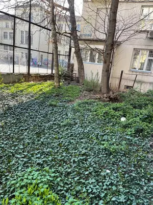 a pile of leaves on the ground in front of a building at Nice and cozy in Sofia