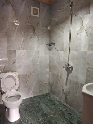 a bathroom with a toilet and a shower at Капсъзовата къща in Leshten