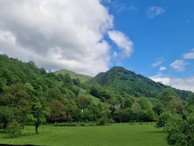 a green field with trees and mountains in the background at Къща за гости Брязово in Ribarica