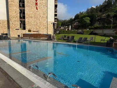 a large blue swimming pool with swans in it at Donna Spa hotel Sveti Spas in Velingrad