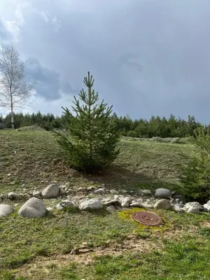 a tree on top of a hill with rocks at 2-room Forest Retreat - Fireplace, Veranda, BBQ, Views in Bansko