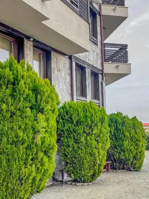 three large green bushes in front of a building at Tarein Studio in Bansko
